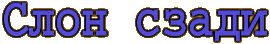 C c